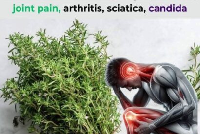 Thumbnail for Thyme: The Most Powerful Herb You Should Know About