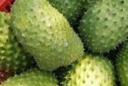 Thumbnail for No Man Should Die From Prostate Cancer: The Natural Remedy Every Man Should Know