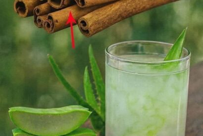 Thumbnail for Aloe Vera with Cinnamon: The Home Remedy That Protects Your Health and Vision