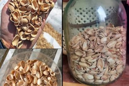 Thumbnail for Reusing Pistachio Shells: How to Turn Them Into Powder and Use It in Your Garden