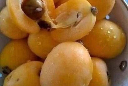 Thumbnail for Jam Mazah Recipe (Mazaah Confitor)