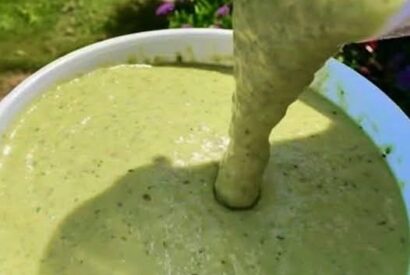 Thumbnail for Mexican Avocado Tomatillo Spicy Salsa