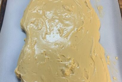 Thumbnail for Country-Fair Wisconsin Fairy Food