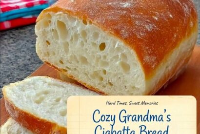 Thumbnail for Cozy Grandma’s Ciabatta bread