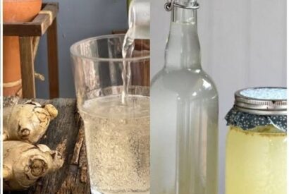 Thumbnail for The Ginger Bug