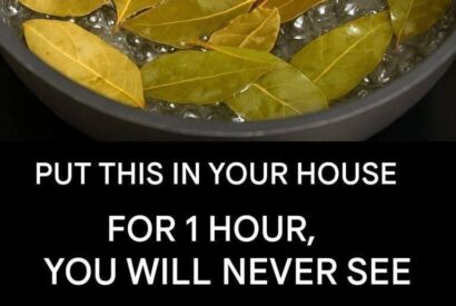 Thumbnail for Say goodbye to flies, mosquitoes and cockroaches boiling these leaves