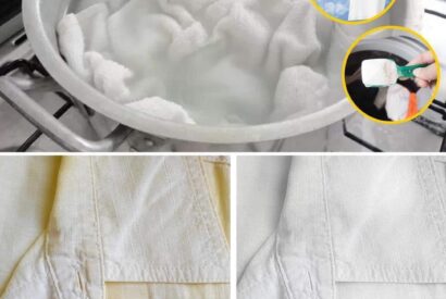 Thumbnail for Simple and ecological tips to regain the dazzling whiteness of your clothes
