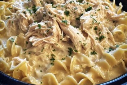 Thumbnail for Amish Chicken and Noodles