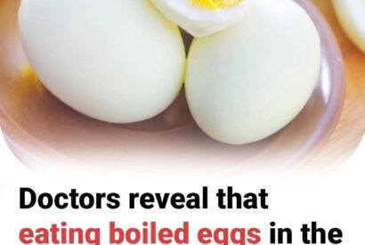 Thumbnail for Doctors Reveal What Happens When You Eat Boiled Eggs in the Morning