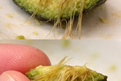 Thumbnail for What Those Strange Strings in Your Avocado Really Mean — And Why You Shouldn’t Worry