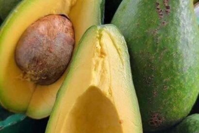 Thumbnail for Doctors reveal that eating avocado causes in