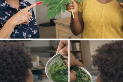 Thumbnail for Could Papaya Leaves Support Lush, Strong Hair Growth Naturally?