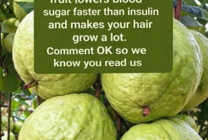 Thumbnail for Guava Health Claims: Fact vs Reality