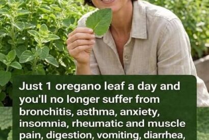 Thumbnail for Cuban Oregano: A Thoughtful Look at Tradition, Ritual, and Responsible Use