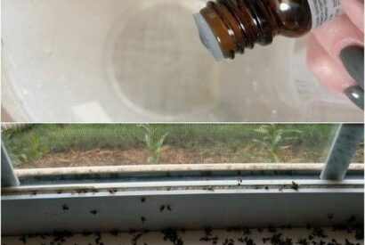 Thumbnail for “Flies Gone in 1 Minute”? Let’s Talk Reality — Safe, Effective Fly Control That Actually Works