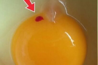 Thumbnail for Is It Safe to Eat Eggs With Red Spots? A Clear Guide for Everyday Cooks