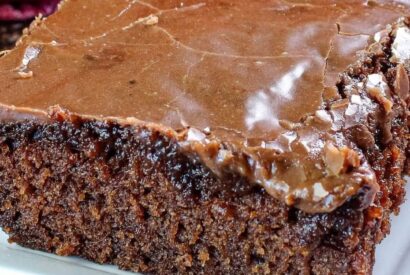 Thumbnail for double chocolate coca cola cake