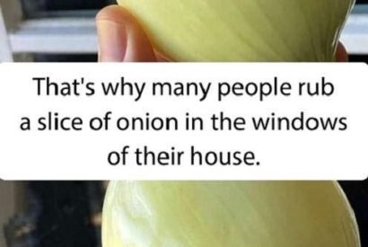 Thumbnail for Why You Should Start Rubbing Onion on Your Windows