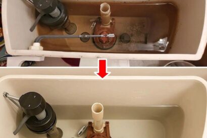 Thumbnail for 12 reasons why adding baking soda to your toilet tank is a must-do trick