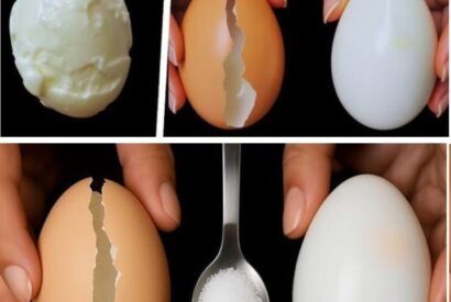 Thumbnail for Don’t Boil Eggs Directly in Water — Here’s How Five-Star Hotels Cook Their Eggs!