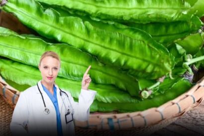 Thumbnail for The Winged Bean — Hype vs. Reality (What Science Actually Says About This “Superfood”)