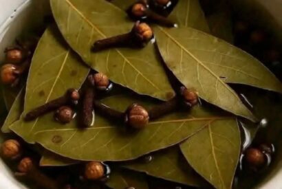 Thumbnail for Bay Leaf and Clove Herbal Tea (Healthy Detox Drink for Digestion & Weight Loss)