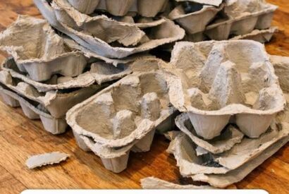 Thumbnail for 10 Smart Ways to Reuse Cardboard Egg Cartons (Easy, Eco-Friendly Ideas You’ll Love)