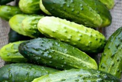 Thumbnail for Doctors reveal that eating cucumber in salads causes…