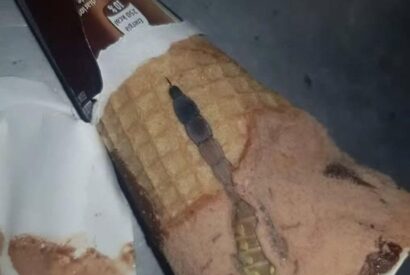 Thumbnail for Today my daughter opened her favorite chocolate ice cream