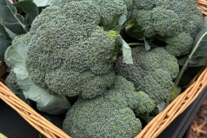 Thumbnail for Doctors reveal that eating broccoli causes …