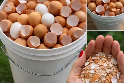 Thumbnail for Stop throwing them away. Boil eggshells and say goodbye to… Show more