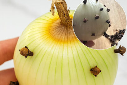 Thumbnail for The Power of Oignon Piqué (The “Clove-Studded” Kitchen Secret)