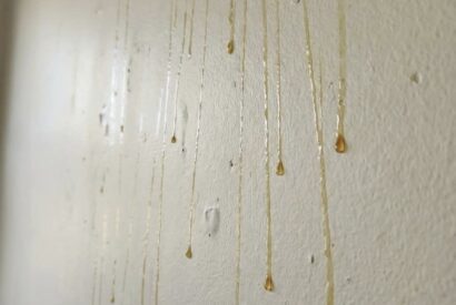 Thumbnail for Did you know that you can get “McQueso” with your order at Mcdonalds in Mexico?Yellow Drips on Bathroom Walls? Here’s What That Sticky Yellow Stuff Might Be