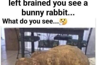 Thumbnail for The Magical Potato Illusion