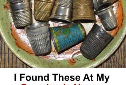 Thumbnail for I Found These At My Grandma’s House And Have No Idea What They Are