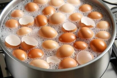 Thumbnail for 🥚 Eating Boiled and Ground Eggshells: Why It’s Not a Safe Calcium Source