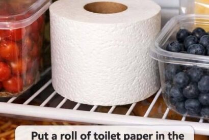 Thumbnail for Put a roll of toilet paper in the fridge. Here’s why