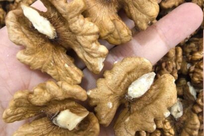 Thumbnail for Doctors Reveal That Eating Walnuts Causes… Amazing Things for Your Heart, Brain & Long-Term Health!