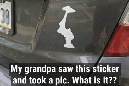 Thumbnail for Why Drivers Put Upside-Down Stickers on Their Cars – Hidden Meaning Explained