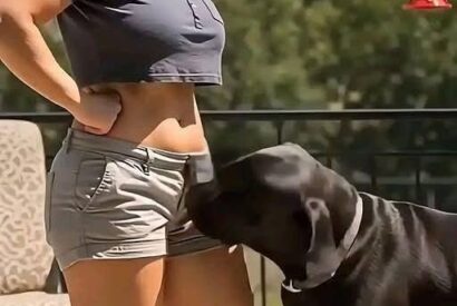 Thumbnail for The Science Behind Dogs’ Sniffing: A Complete Guide for Pet Owners –