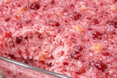 Thumbnail for Frozen Cranberry Salad