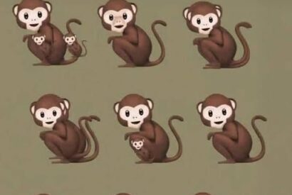Thumbnail for The Number Of Monkeys You See Determines If You’re A Narcissist