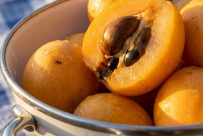 Thumbnail for The Best Traditional Mishmish Apricot Jam (Easy Recipe & Story!)