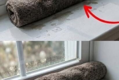Thumbnail for The BEST Wet Towel on Windowsill Sleep Hack (Easy Room Cooling Trick!)