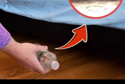 Thumbnail for Why Some Travelers Place Water Bottles Under Hotel Beds