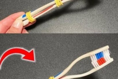 Thumbnail for Think Twice Before Throwing Away Old Toothbrushes