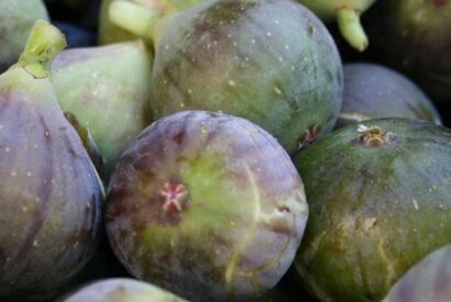 Thumbnail for Easy Fig, Prune & Apricot Nighttime Remedy – A Healthy High-Fiber Snack for Joint Support and Better Sleep