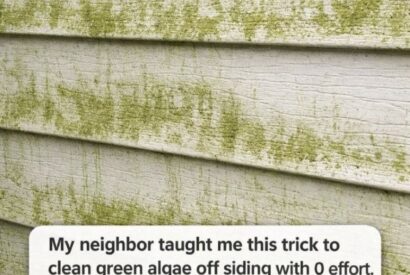 Thumbnail for My neighbor taught me this trick to clean green algae off siding with 0 effort. Here’s how it works