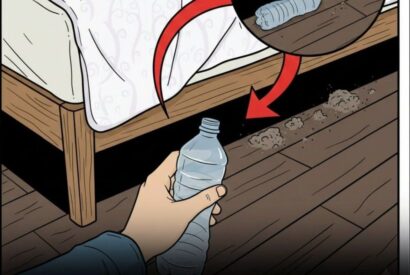Thumbnail for Why You Should Toss a Water Bottle Under Your Hotel Bed