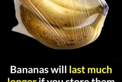 Thumbnail for 3 tricks to preserve bananas for twice as long